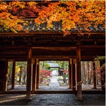 岡山の歴史を今に伝える 神社仏閣めぐり