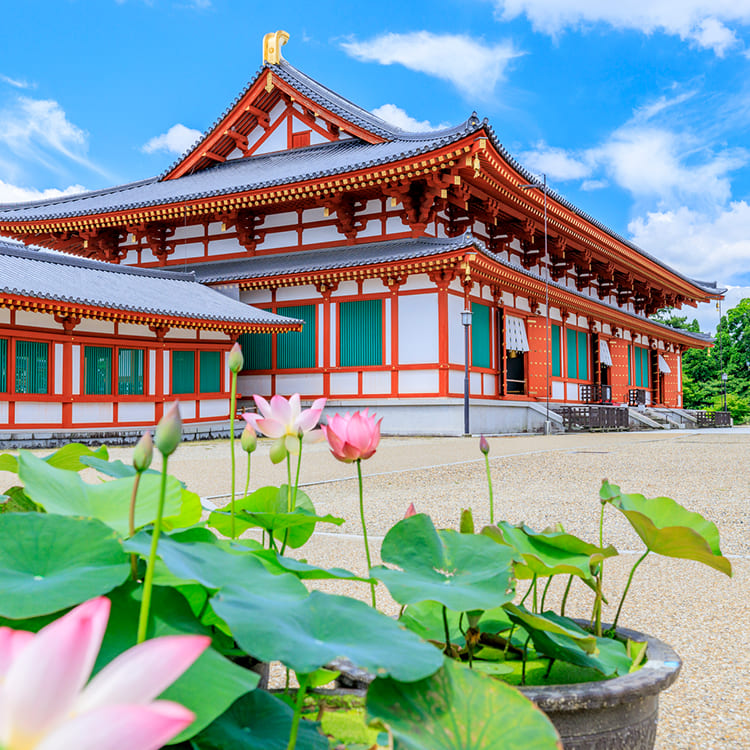 奈良旅行 に行くなら必見 旅色 旅行 散策ガイド 行きたい場所がきっと見つかる