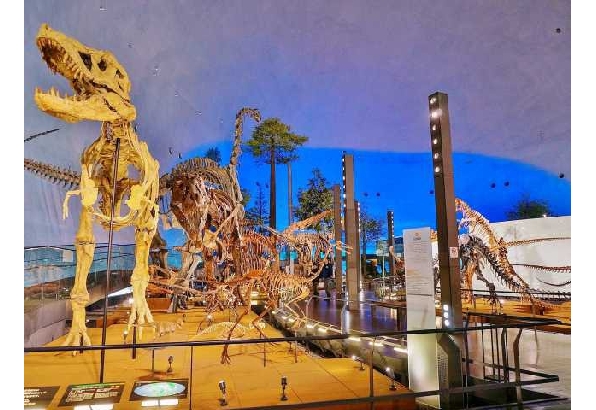 福井県立恐竜博物館 福井県勝山市のおすすめ観光スポット レジャー 旅色 旅色