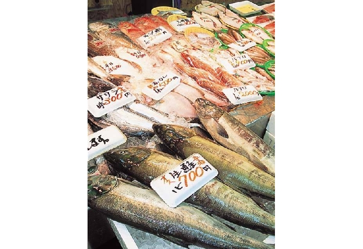 寺泊魚の市場通り（魚のアメ横）