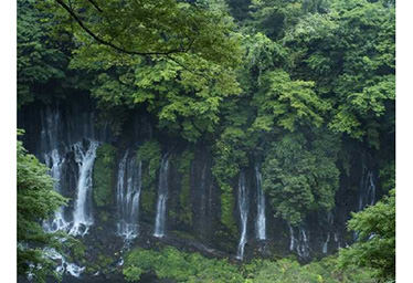 白糸の滝 静岡県富士宮市のおすすめ観光スポット レジャー 旅色