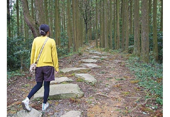 の 日本 石段 一 『熊本県には日本一の石段がある。釈迦院御坂遊歩道。なんと3333石段で地獄の超きつい石段であるが、登った先には絶景が待っていたのだが。。。しかし、更にその先、釈迦院までなんと表参道を1.1キロ歩くと言う、まさに天国と地獄の場所でした。』八代(熊本県)の旅行記・ブログ by