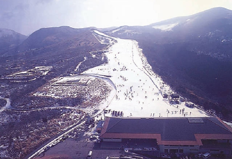 九重森林公園スキー場｜大分県玖珠郡九重町のおすすめ観光