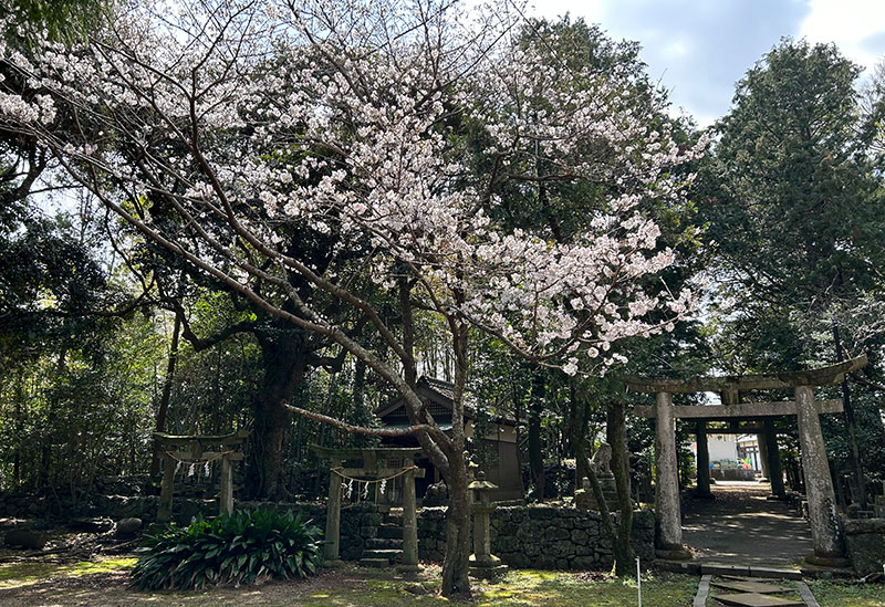 五島八幡神社