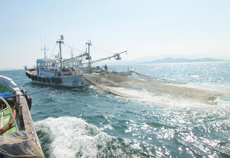 小松島漁業協同組合