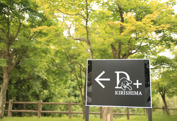 D+KIRISHIMA