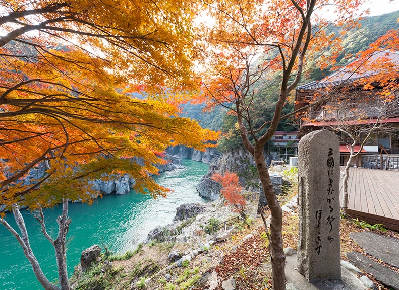 国内屈指の景勝地熊野の秘境・瀞八丁
